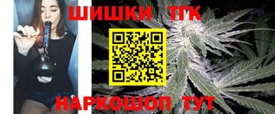 МДПВ Донецк