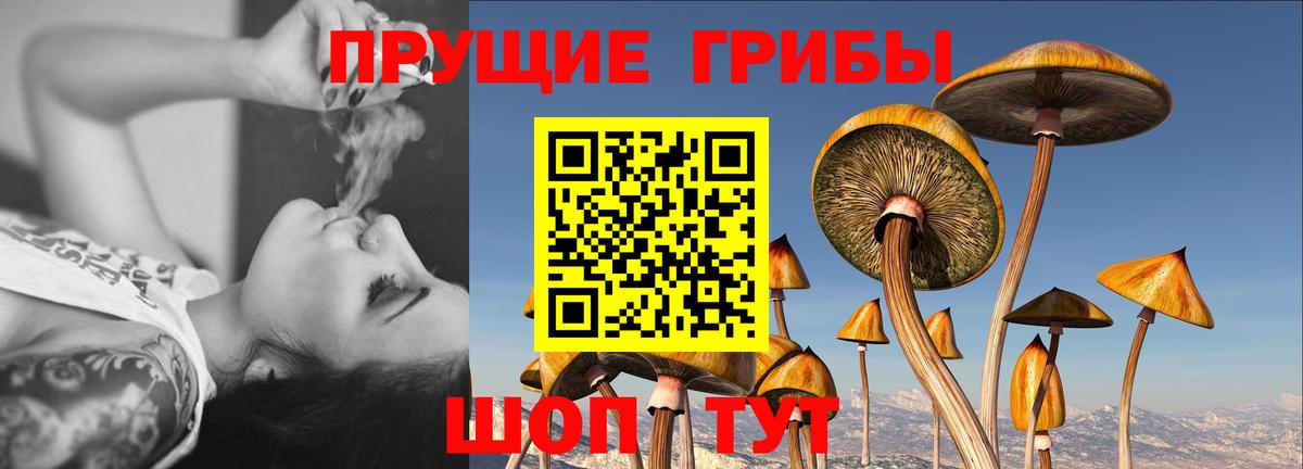 Тулун  купить   Галлюциногенные грибы прущие грибы  Вход с VPN  Галлюциногенные грибы мухоморы 