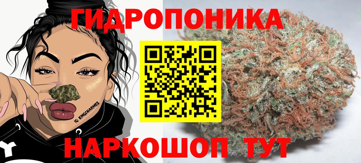 Конопля гибрид  Бошки Шишки Ganja  Тулун  Марихуана ГИДРОПОН  Вход с VPN 